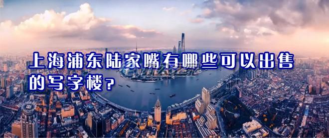 22"上海浦东陆家嘴有哪些可以出售的写字楼？"