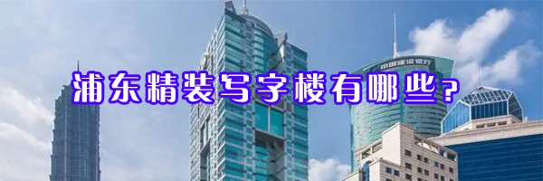 22"浦东精装写字楼有哪些？"