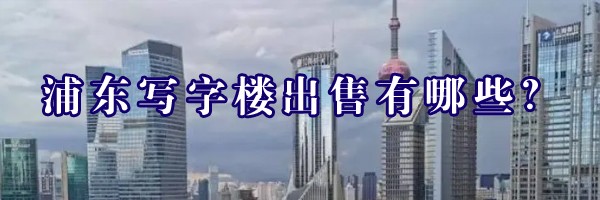 22"浦东写字楼出售有哪些？"