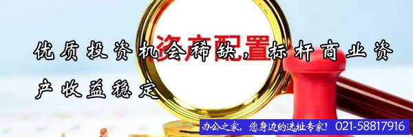 22"优质投资机会稀缺，标杆商业资产收益稳定"
